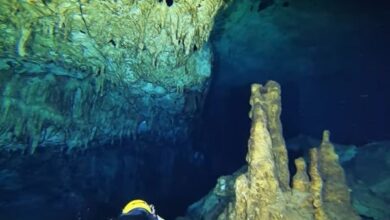 Diving di Kolong Rumah Gua Lanto Kota Baubau Sulawesi Tenggara Surga Bawah Laut yang Menantang Akal Sehat