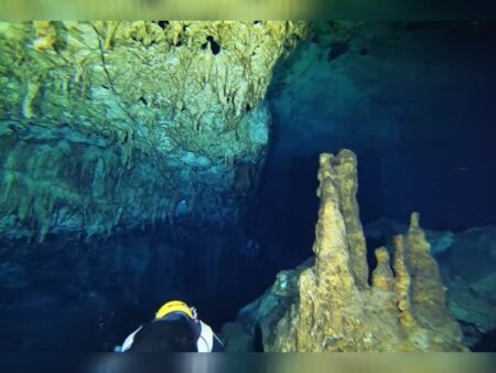 Diving di Kolong Rumah Gua Lanto Kota Baubau Sulawesi Tenggara Surga Bawah Laut yang Menantang Akal Sehat