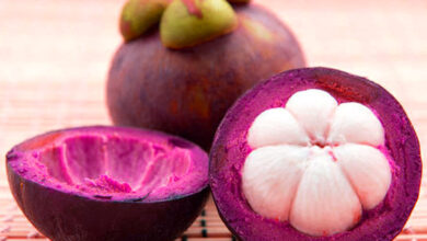 Khasiat Kulit Manggis