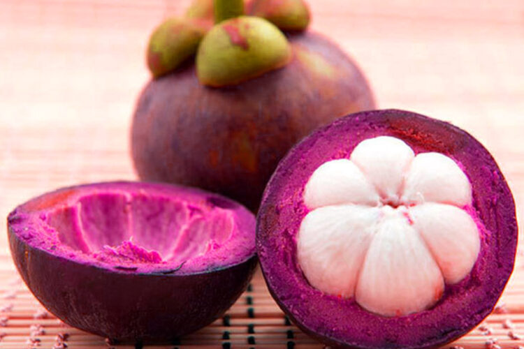 Khasiat Kulit Manggis