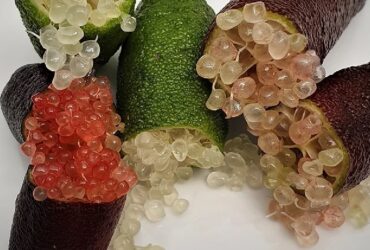 Mencicipi Kemewahan Finger Lime, Lemon Kaviar Termahal di Dunia