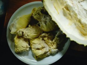 Buah Durian Bertahan Berapa Lama? INI 5 Tips Menyimpan Durian Agar Tetap Segar dan Tahan Lama
