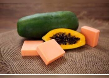 Rahasia Kulit Cerah dan Sehat Alami ada di Sabun Pepaya, Begini Cara Membuatnya