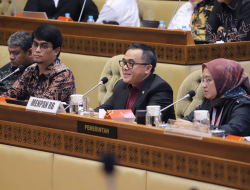 Seleksi PPPK 2024 Honorer mendapat 100 persen formasi dari Menteri PAN-RB Anas