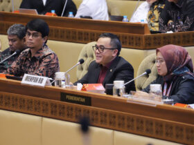 Seleksi PPPK 2024 Honorer mendapat 100 persen formasi dari Menteri PAN-RB Anas
