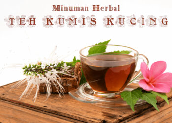 Cara Membuat Minuman Herbal Teh Kumis Kucing