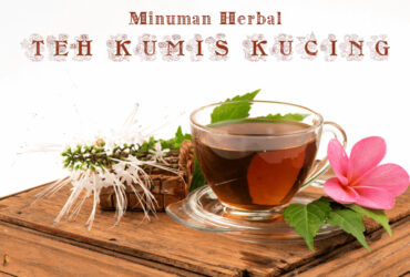 Cara Membuat Minuman Herbal Teh Kumis Kucing