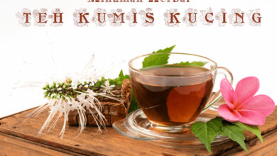 Cara Membuat Minuman Herbal Teh Kumis Kucing