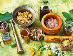 10 Tanaman Herbal Untuk Menjaga Kesehatan di Musim Hujan, Nomor 6 Paling Gak Nyangka Manfaatnya