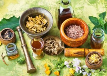10 Tanaman Herbal Untuk Menjaga Kesehatan Di Musim Hujan Nomor 6 Paling Gak Nyangka Manfaatnya