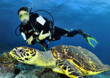 5 Tempat Diving Terbaik di Indonesia, Surganya Para Penyelam Dunia 4 Tempat Diving Terbaik di Indonesia