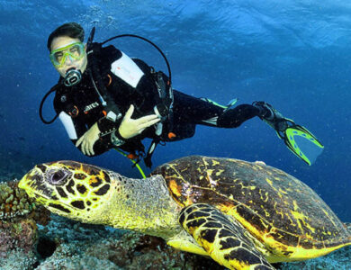 Tempat Diving Terbaik di Indonesia