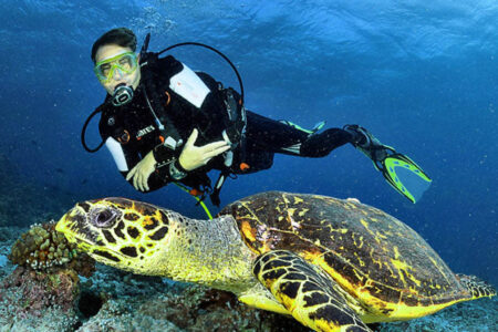 Tempat Diving Terbaik di Indonesia