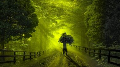 Desa Kesiangan di Yogyakarta, Matahari Terbit Jam 9 Pagi, Malam Jam 4 Sore?