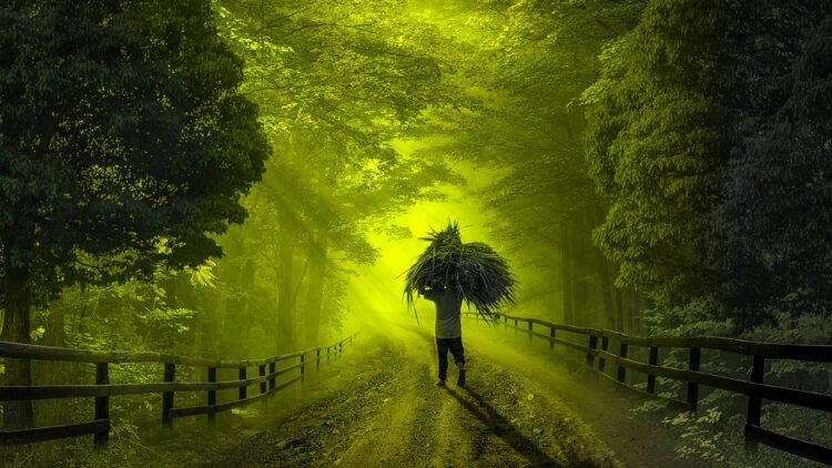 Desa Kesiangan di Yogyakarta, Matahari Terbit Jam 9 Pagi, Malam Jam 4 Sore?