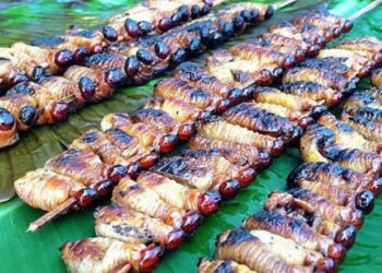 Jika Anda berkesempatan berkunjung ke Papua, jangan lupa untuk mencoba sate ulat sagu.