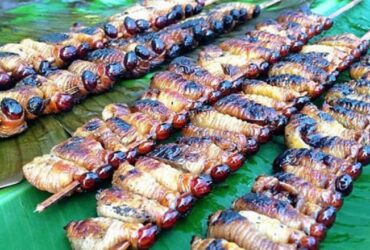 Jika Anda berkesempatan berkunjung ke Papua, jangan lupa untuk mencoba sate ulat sagu.