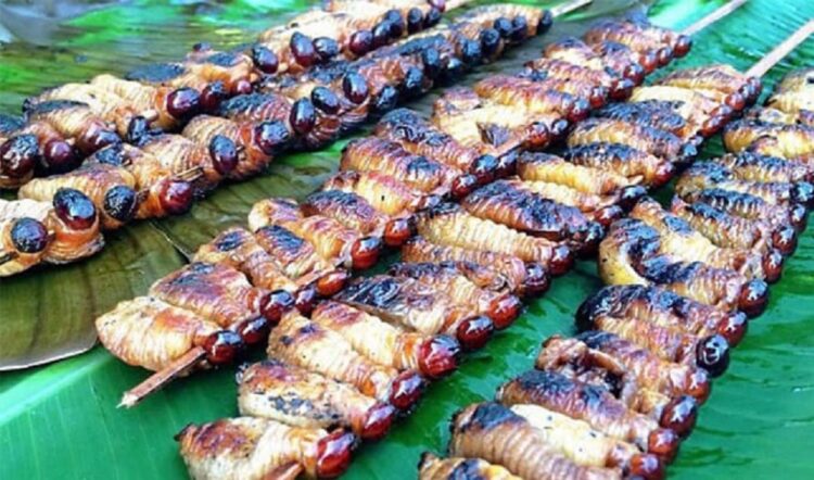 Jika Anda berkesempatan berkunjung ke Papua, jangan lupa untuk mencoba sate ulat sagu.
