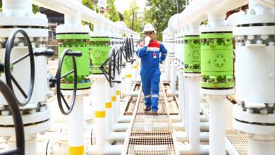 PHE Catatkan Kinerja Cemerlang Sepanjang Tahun 2023