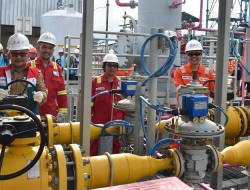 Banggai Sulawesi Tengah Bersinar! 30.000 Rumah Teraliri Listrik Berkat Duet Maut Stasiun Pengukuran Gas PLN dan PLTMG Luwuk 40 MW!
