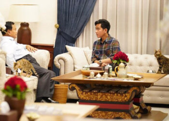 Bengal Cat Kucing Termahal di Dunia Milik Menhan Prabowo Setara 50 Kali Gaji UMR Jateng Segini Harganya