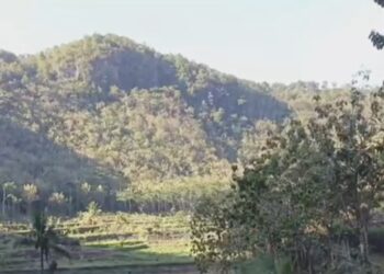 Fenomena Aneh Desa Kesiangan di Yogyakarta, Penduduk Jarang Melihat Matahari!