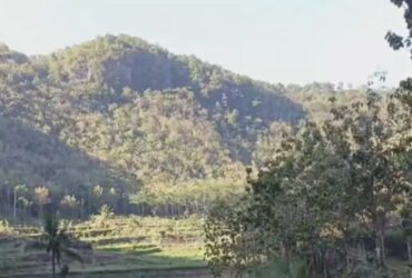 Fenomena Aneh Desa Kesiangan di Yogyakarta, Penduduk Jarang Melihat Matahari!