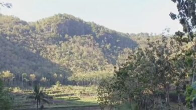 Fenomena Aneh Desa Kesiangan di Yogyakarta, Penduduk Jarang Melihat Matahari!