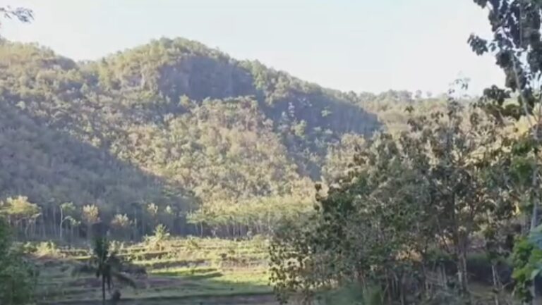 Fenomena Aneh Desa Kesiangan di Yogyakarta, Penduduk Jarang Melihat Matahari!