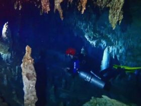 Spot Diving di Gua Lantom Surga Tersembunyi di Bawah Tanah, Neraka Bagi Penyelam Pemula