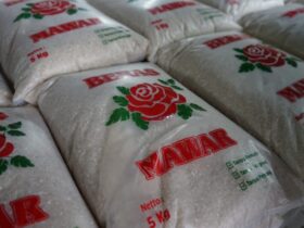 Apakah Harga Beras Segera Turun? Bulog Bilang Begini...