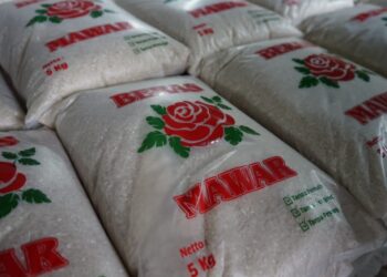 Apakah Harga Beras Segera Turun? Bulog Bilang Begini...