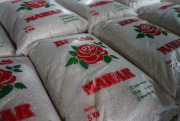Apakah Harga Beras Segera Turun? Bulog Bilang Begini...