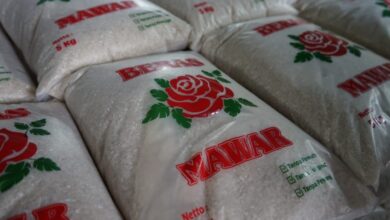 Apakah Harga Beras Segera Turun? Bulog Bilang Begini...