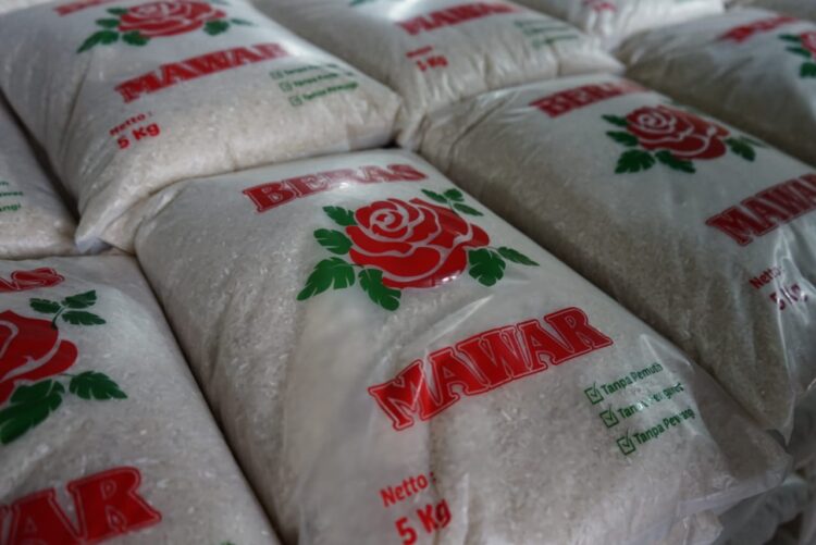 Apakah Harga Beras Segera Turun? Bulog Bilang Begini...