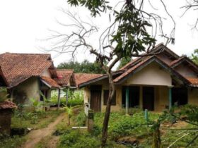 NGERI! Kisah Kampung Mati di Tengah Hutan Ponorogo yang Bikin Bulu Kuduk Berdiri