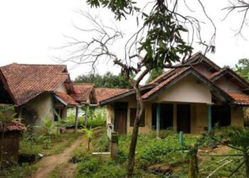 NGERI! Kisah Kampung Mati di Tengah Hutan Ponorogo yang Bikin Bulu Kuduk Berdiri