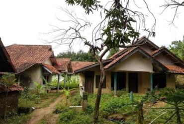 NGERI! Kisah Kampung Mati di Tengah Hutan Ponorogo yang Bikin Bulu Kuduk Berdiri