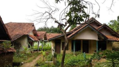 NGERI! Kisah Kampung Mati di Tengah Hutan Ponorogo yang Bikin Bulu Kuduk Berdiri