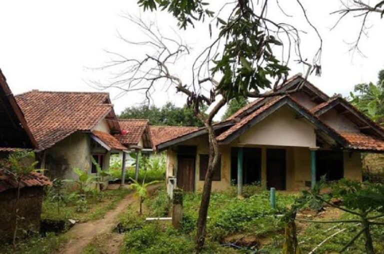 NGERI! Kisah Kampung Mati di Tengah Hutan Ponorogo yang Bikin Bulu Kuduk Berdiri