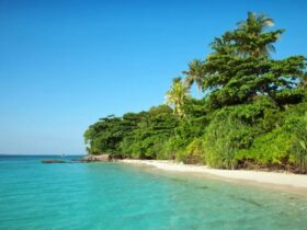 Terungkap! Fakta Menarik di Balik Keindahan Karimunjawa