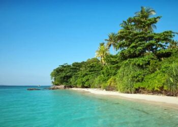 Terungkap! Fakta Menarik di Balik Keindahan Karimunjawa 6 Terungkap! Fakta Menarik di Balik Keindahan Karimunjawa