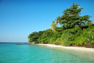 Terungkap! Fakta Menarik di Balik Keindahan Karimunjawa