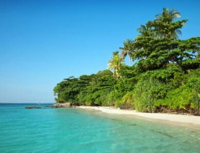 Terungkap! Fakta Menarik di Balik Keindahan Karimunjawa