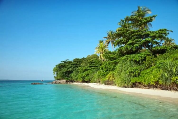 Terungkap! Fakta Menarik di Balik Keindahan Karimunjawa