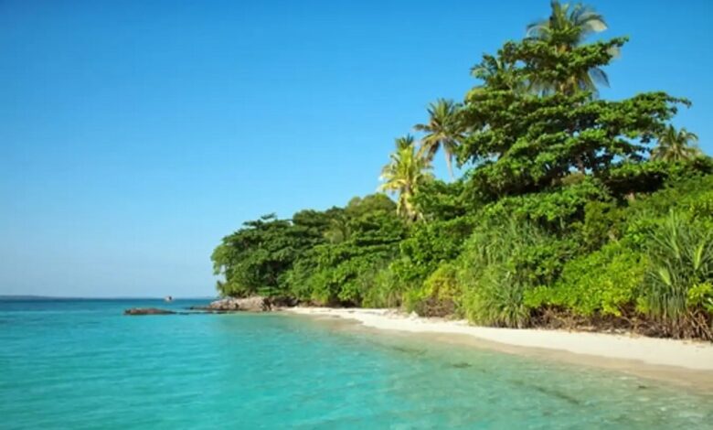 Terungkap! Fakta Menarik di Balik Keindahan Karimunjawa