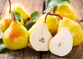 Manfaat Buah Pir Untuk Kesehatan dan Pengobatan, Nomor 1 Mengatasi Kerusakan Sel dan Melawan Penyakit 3 Manfaat Buah Pir Untuk Kesehatan Dan Pengobatan Nomor 1 Mengatasi Kerusakan Sel Dan Melawan Penyakit