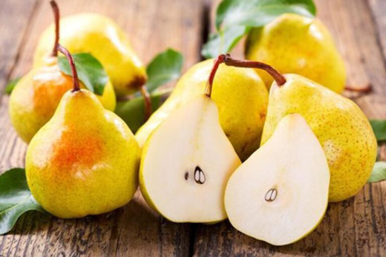 Manfaat Buah Pir Untuk Kesehatan Dan Pengobatan Nomor 1 Mengatasi Kerusakan Sel Dan Melawan Penyakit