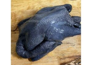 Ayam Cemani: Sensasi Kuliner Langka Kaya Manfaat, Berani Coba? INI Resep Olahan Ayam Cemani