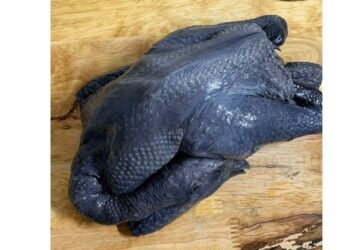 Ayam Cemani: Sensasi Kuliner Langka Kaya Manfaat, Berani Coba? INI Resep Olahan Ayam Cemani